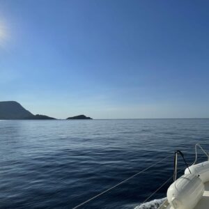 38E8783D 6DDB 43D5 B6CE A35F2F1C6B16 scaled 1 1